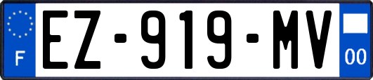 EZ-919-MV