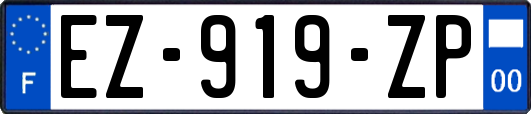 EZ-919-ZP
