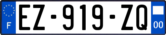 EZ-919-ZQ