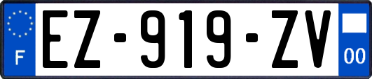 EZ-919-ZV