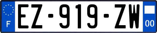 EZ-919-ZW