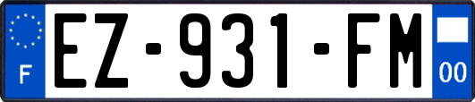 EZ-931-FM