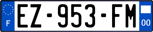 EZ-953-FM