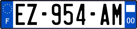 EZ-954-AM