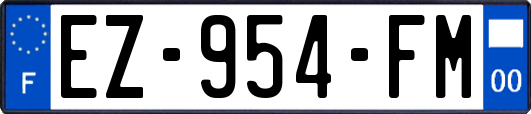 EZ-954-FM