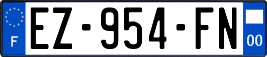 EZ-954-FN