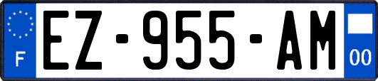 EZ-955-AM