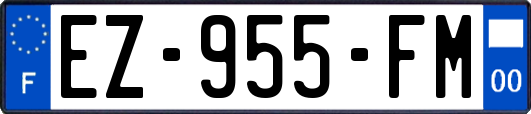 EZ-955-FM