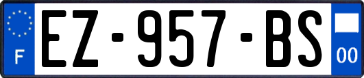 EZ-957-BS