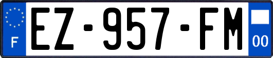 EZ-957-FM