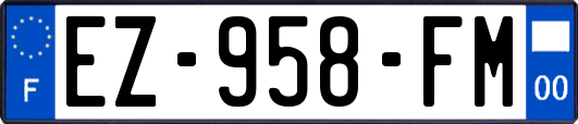 EZ-958-FM