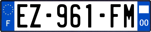 EZ-961-FM