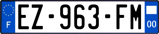 EZ-963-FM