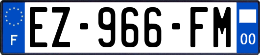 EZ-966-FM