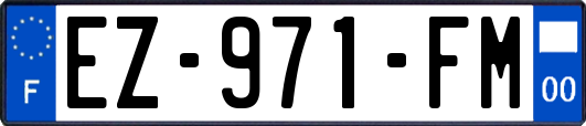 EZ-971-FM