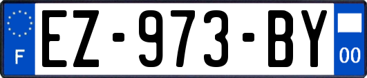 EZ-973-BY