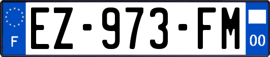 EZ-973-FM