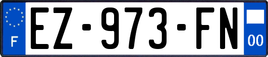 EZ-973-FN