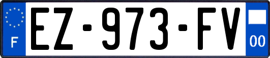 EZ-973-FV