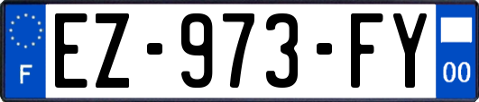 EZ-973-FY