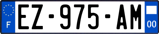 EZ-975-AM