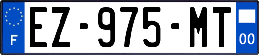 EZ-975-MT