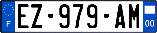 EZ-979-AM