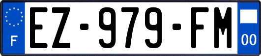 EZ-979-FM