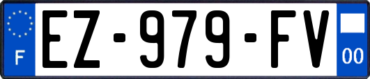 EZ-979-FV