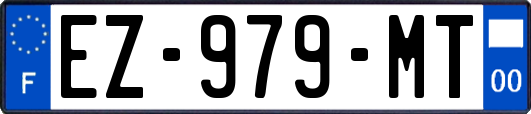 EZ-979-MT