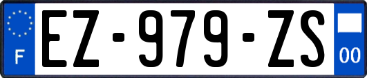 EZ-979-ZS