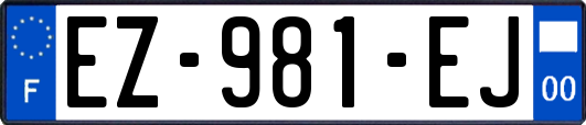 EZ-981-EJ