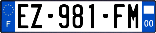 EZ-981-FM