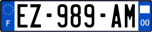 EZ-989-AM