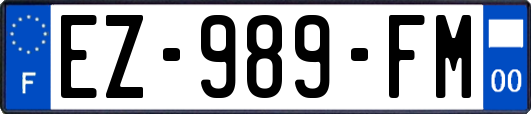 EZ-989-FM