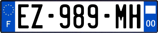 EZ-989-MH