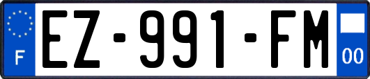 EZ-991-FM