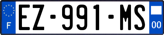 EZ-991-MS