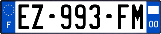 EZ-993-FM