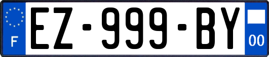 EZ-999-BY