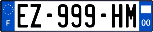 EZ-999-HM