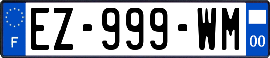 EZ-999-WM