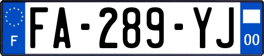 FA-289-YJ