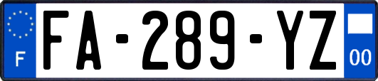 FA-289-YZ