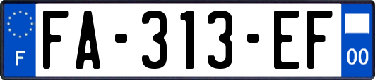 FA-313-EF