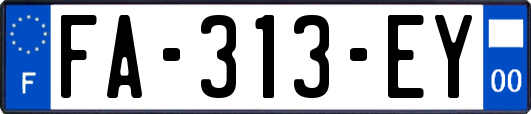 FA-313-EY