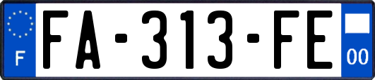 FA-313-FE