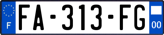 FA-313-FG