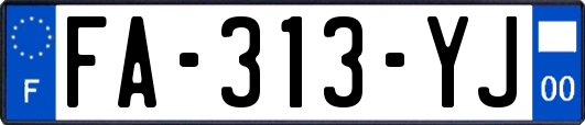 FA-313-YJ