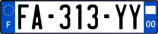 FA-313-YY